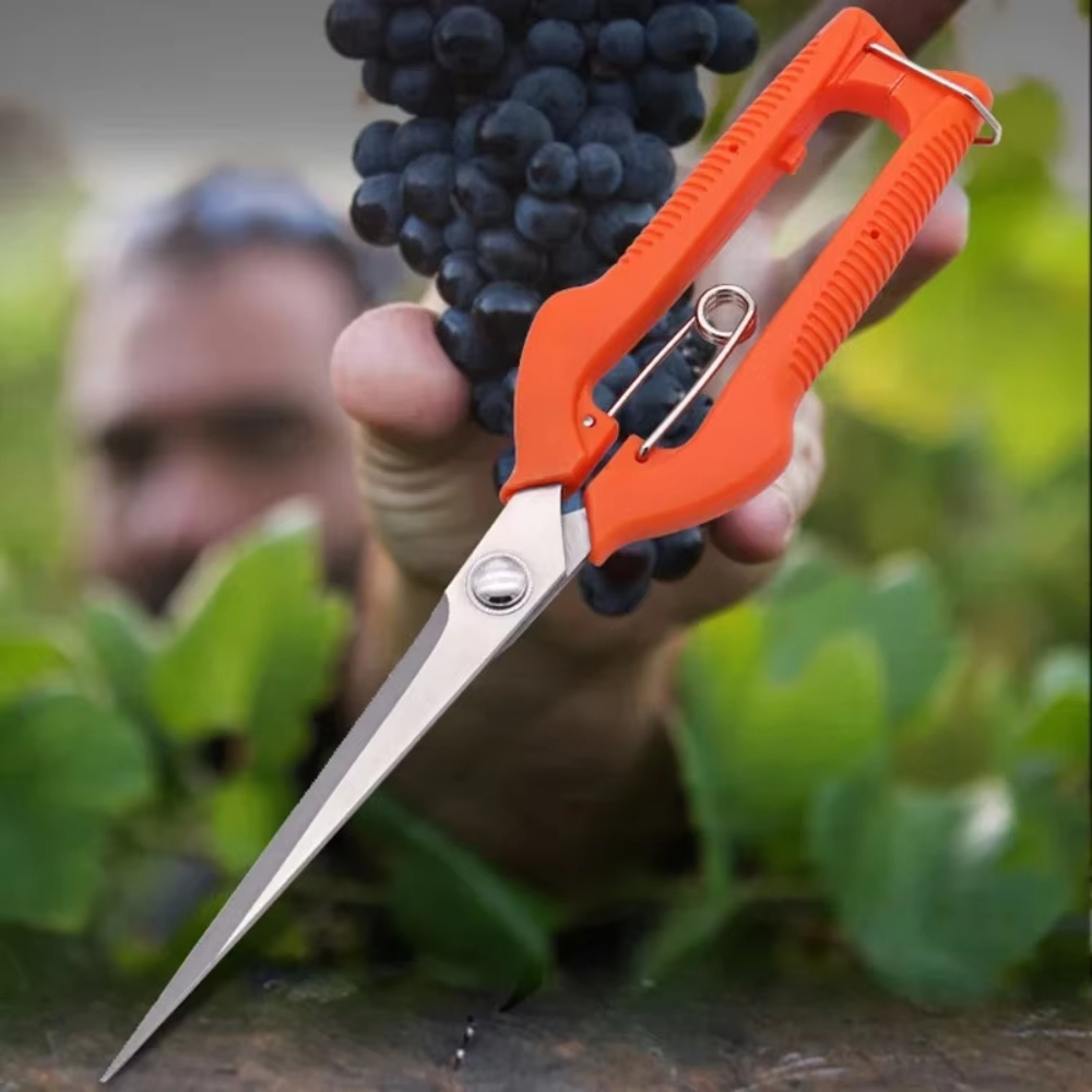 Grape Scissors Pruning Shears  - đánh giá và giá Furniture Joining Hardware